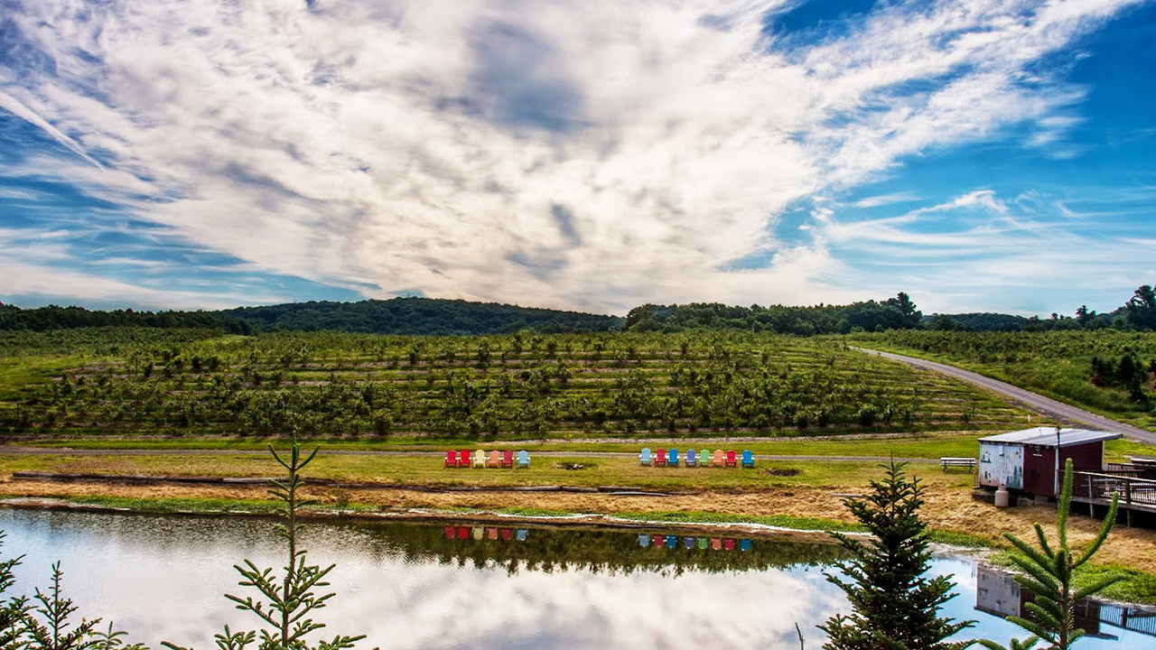 Gallery collage photo